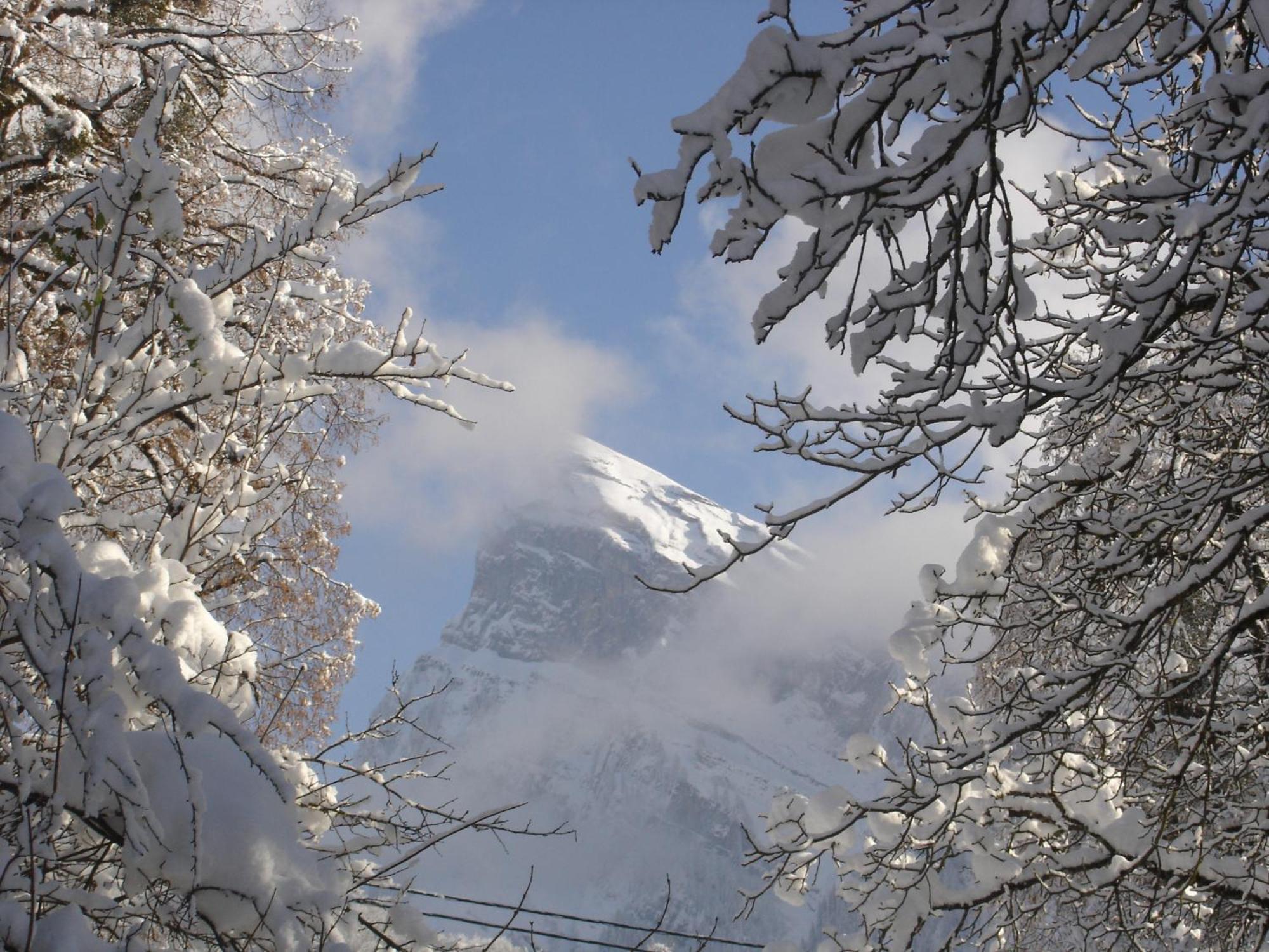 Hotel Edelweiss Samoëns Zewnętrze zdjęcie